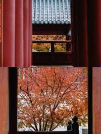 南京牛首山賞秋：佛頂宮藏千年禪意，秋日風光醉人心