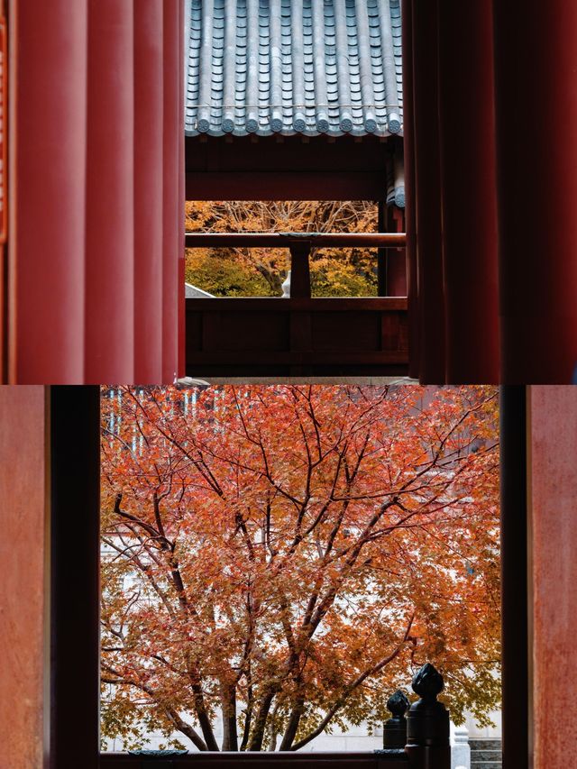南京牛首山賞秋：佛頂宮藏千年禪意，秋日風光醉人心