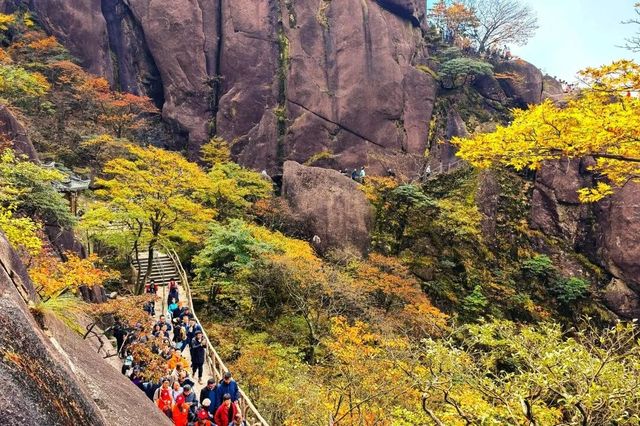 黃山重陽節60歲以上免票
