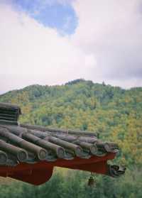 山西稷山周邊旅遊景點推薦自駕遊
