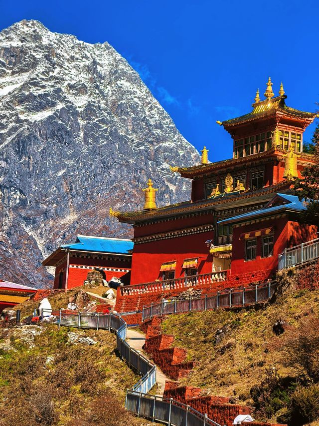 嘎瓦龍景區在波密遇見360°雪山環繞的秋日秘境 嘎瓦龍景區在波密遇見360°雪山環繞的秋日秘境