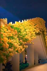 接下來的廣州，滿城花開