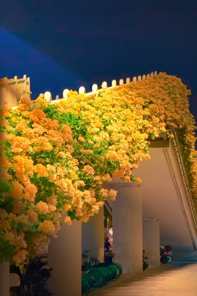 接下來的廣州，滿城花開