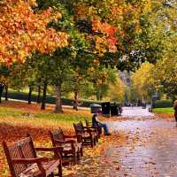 🍂에든버러 가을，일곱 번째 맞이하는 계절의詩