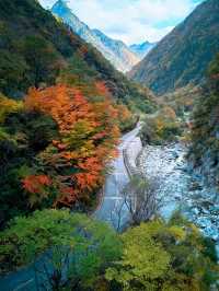 免費小眾景點平武白馬沿途風景--邂逅綠水藍天彩林雪山