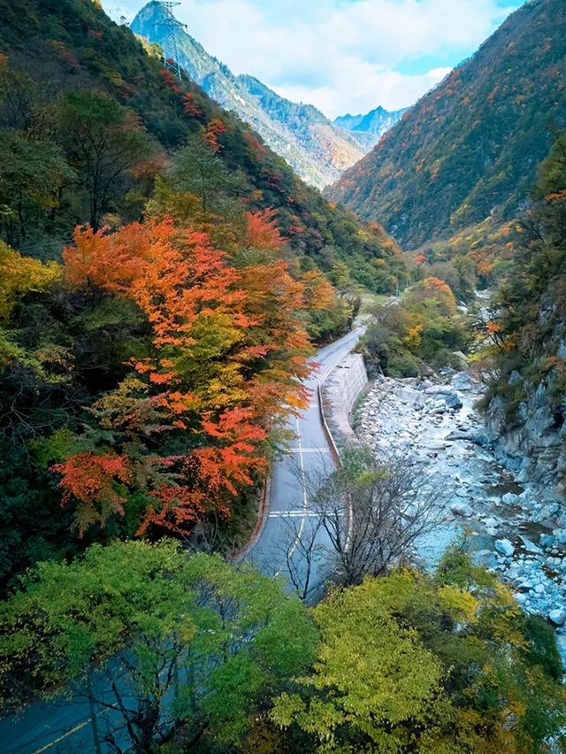 免費小眾景點平武白馬沿途風景--邂逅綠水藍天彩林雪山 免費小眾景點平武白馬沿途風景--邂逅綠水藍天彩林雪山