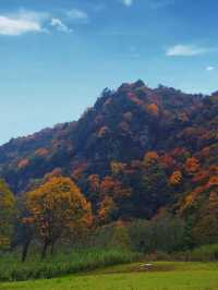 穿越掛壁公路，邂逅秦巴深山最絢爛的秋色