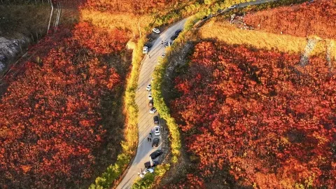 蒋福山紅葉林攻略:京津冀の秋の秘境、山一面の紅葉が息をのむ美しさ! — traveler post in 三河
