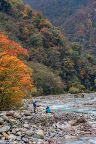 청두에서 3.5시간 직행! 협곡에 숨겨진 단풍 숲 왕국, 동라산

