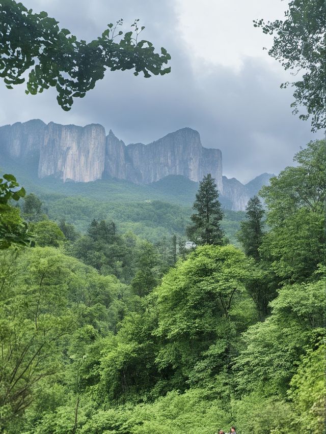 秋天恩施包車遊美到不想回家啦