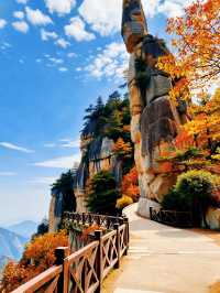 秋日三清山｜在雲海紅葉間邂逅神仙日子