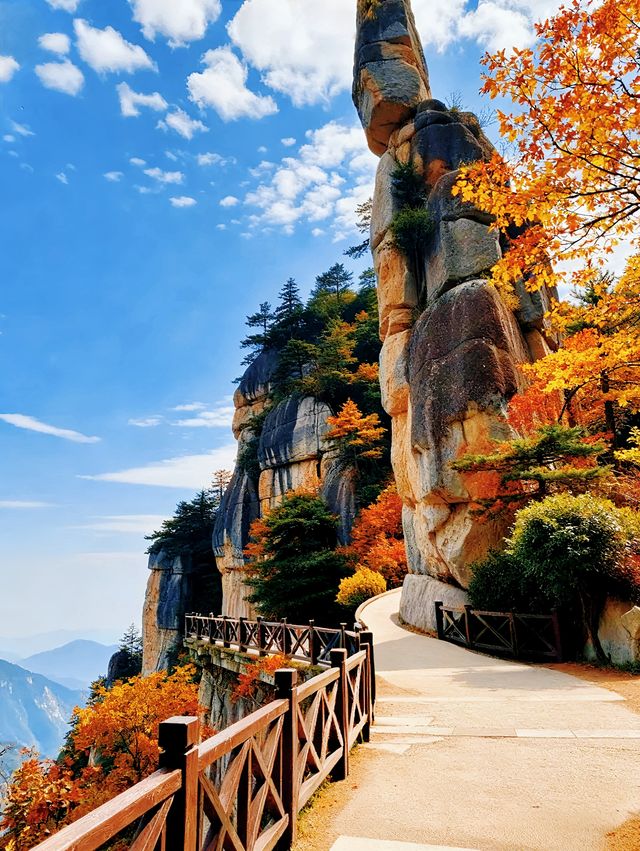 秋日三清山｜在雲海紅葉間邂逅神仙日子