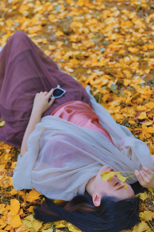 走進韶關帽子峰，彷彿踏入一幅金秋畫卷