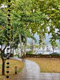 婺源秋色獨家攻略就在銀杏谷民宿