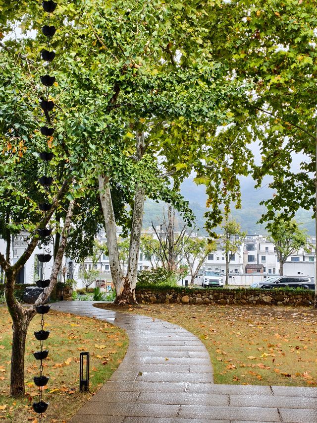 婺源秋色獨家攻略就在銀杏谷民宿