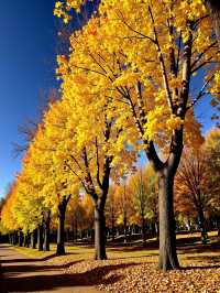 絕了！我喺甘肅搵到一個比九寨溝仲靚嘅彩林秘境！