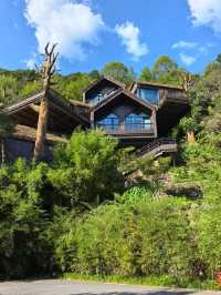 諸暨芳草地，住進了森林裡！