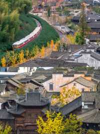 秋日窯湖追光指南