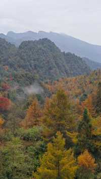 真的是被低估的瓦屋山