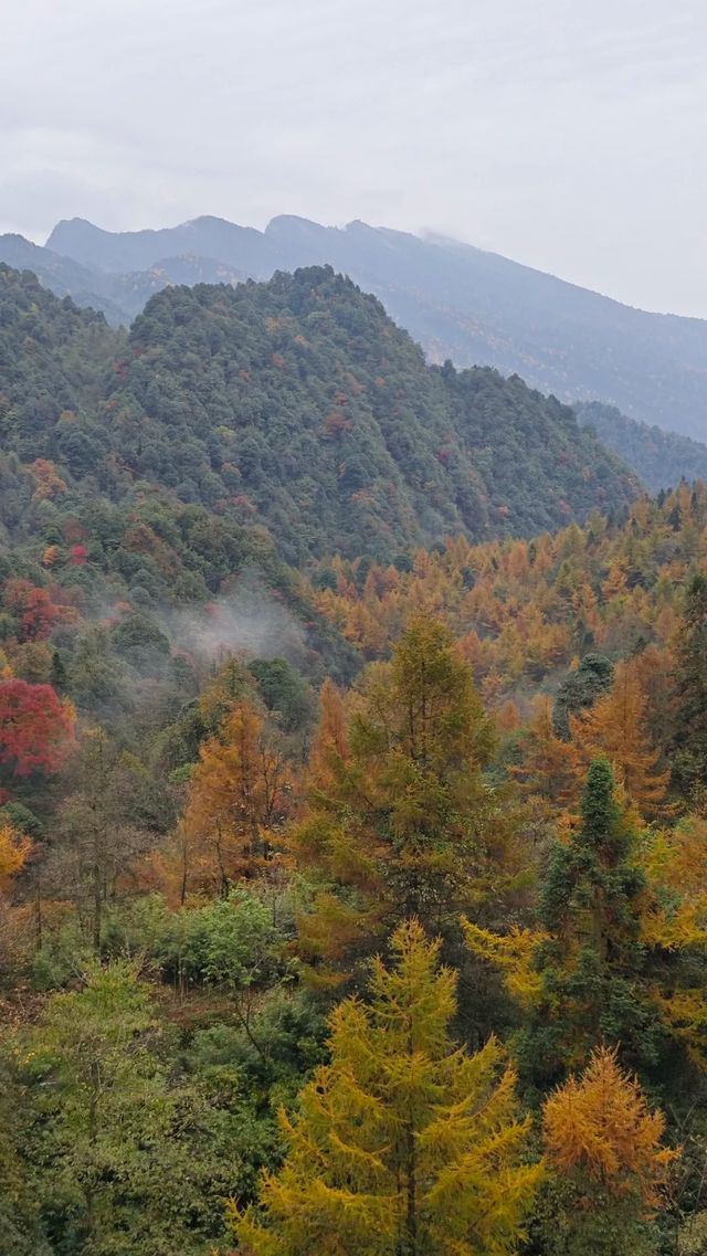 真的是被低估的瓦屋山