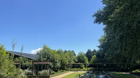 Lush Gardens in The Midlands 🌺🍃 — traveler post in Howick