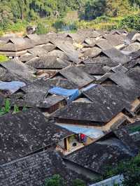 景邁山必打卡攻略|在雲海茶山中邂逅5個民族風情