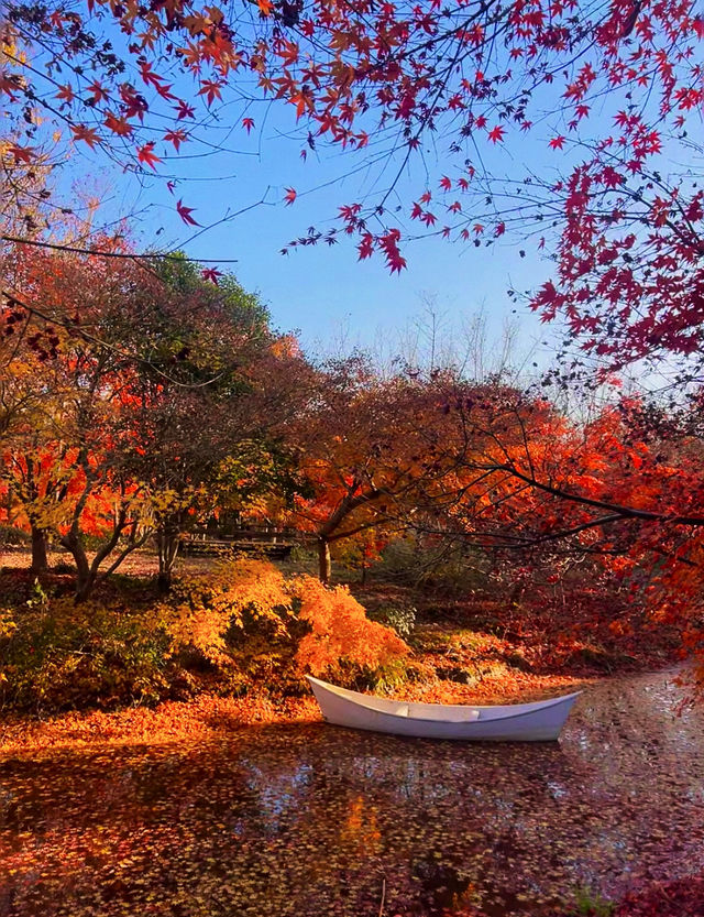 魔都上海的深秋初冬美到窒息徒步拍照聖地機位全公開! 魔都上海的深秋初冬美到窒息徒步拍照聖地機位全公開!