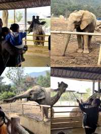 寧波出發2天1晚親子遊！把快樂焊在娃臉上