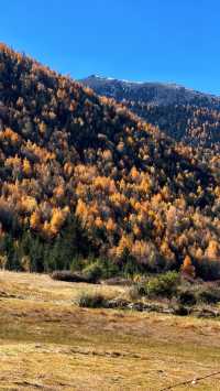 川西過週末超詳細攻略