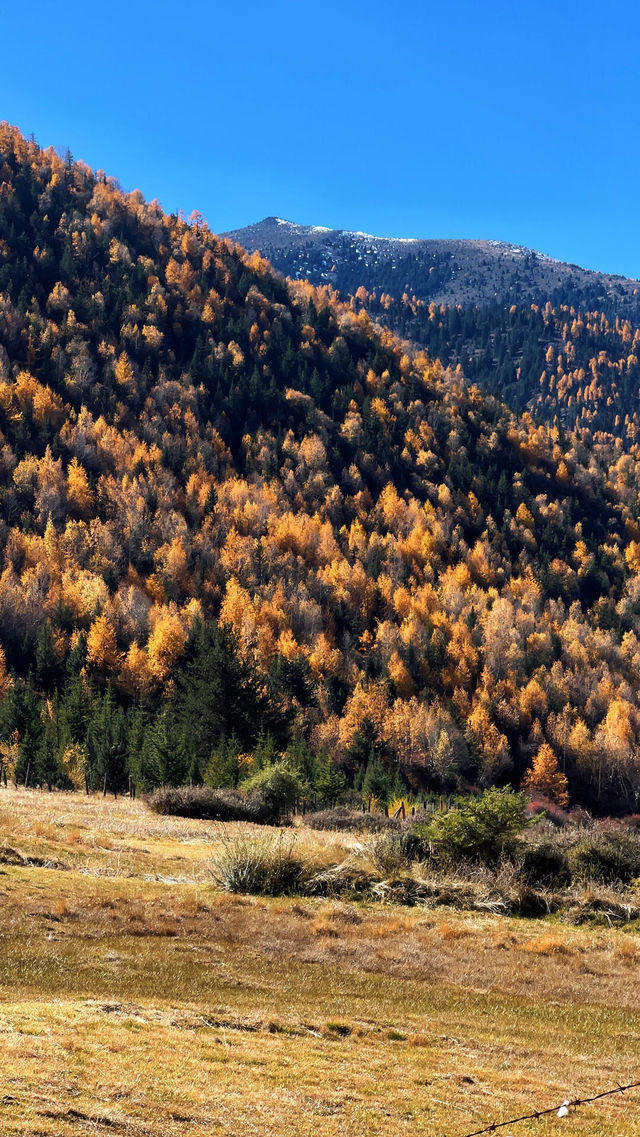 川西過週末超詳細攻略