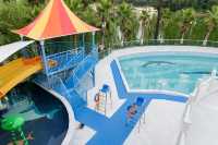 千島湖親子酒店首選！明豪泡湯遛娃兩不誤