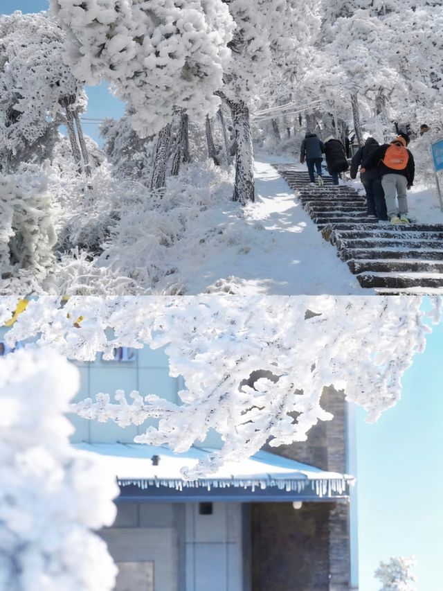 瘋了！廬山第一場雪，美到我站在雪地裡直跺腳！