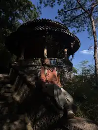 福建武夷山,徒步在最美茶道,看盡丹霞風貌