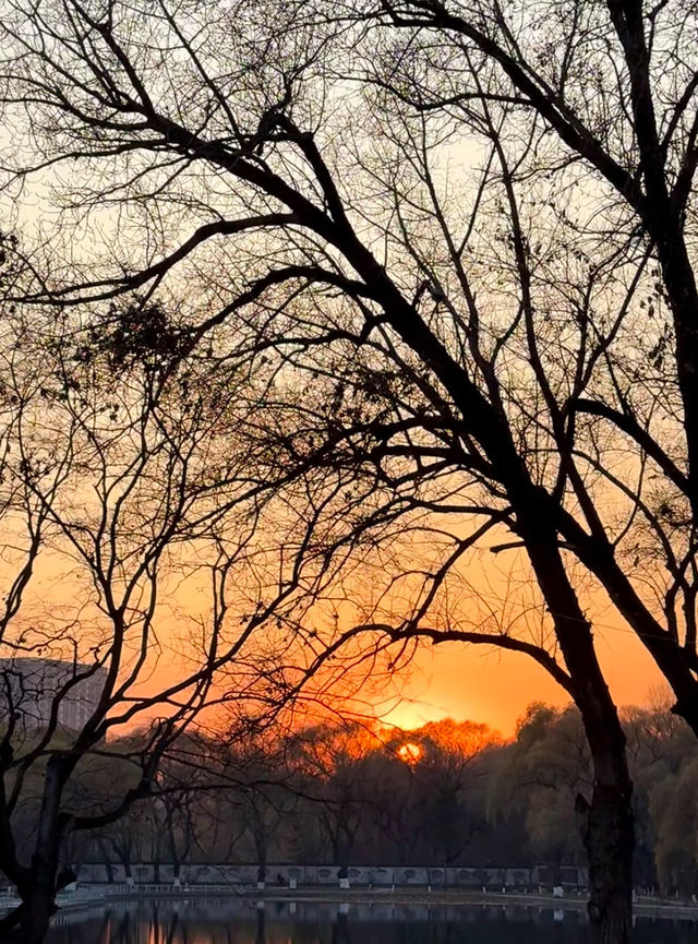 瀋陽冬日限定！北陵日落把皇家園林染成暖金