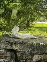 上海野生動物園30歲免費！週末遛娃聖地！