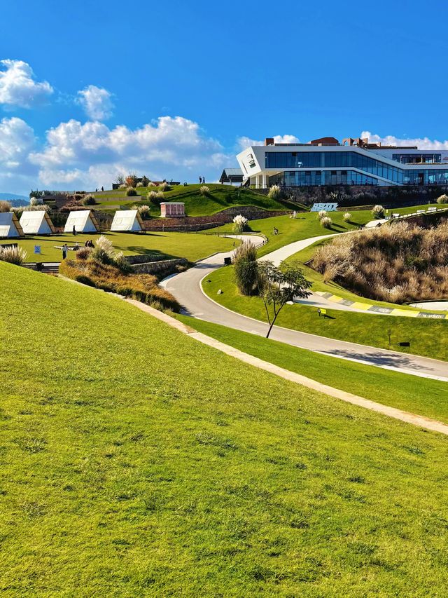 11.26實況!大理最美雪山機位被我找到啦 11.26實況!大理最美雪山機位被我找到啦