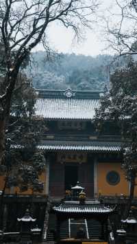 12月浙江四天三晚,旅遊攻略!