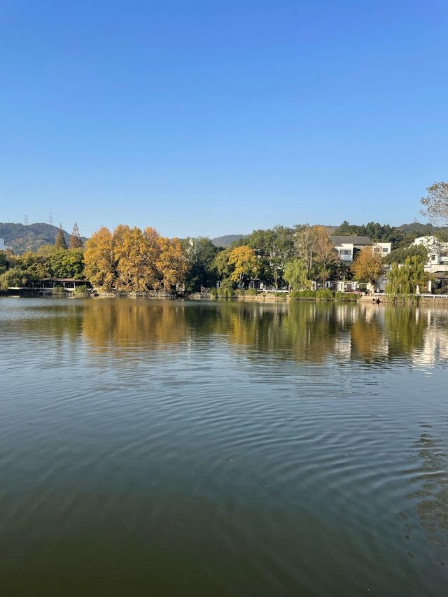 江南最後的秘境!慈城古鎮一日遊保姆級攻略 江南最後的秘境!慈城古鎮一日遊保姆級攻略