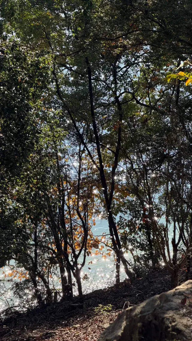 這裡不是瑞士！這裡是千島湖植物園
