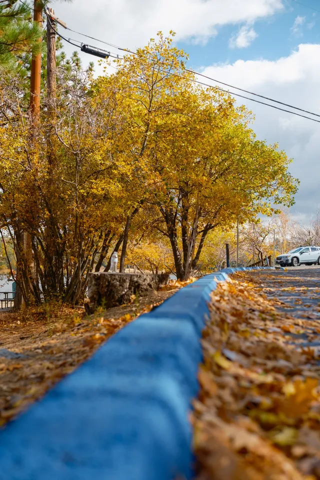 “南加無秋？”我不這麼認為喔