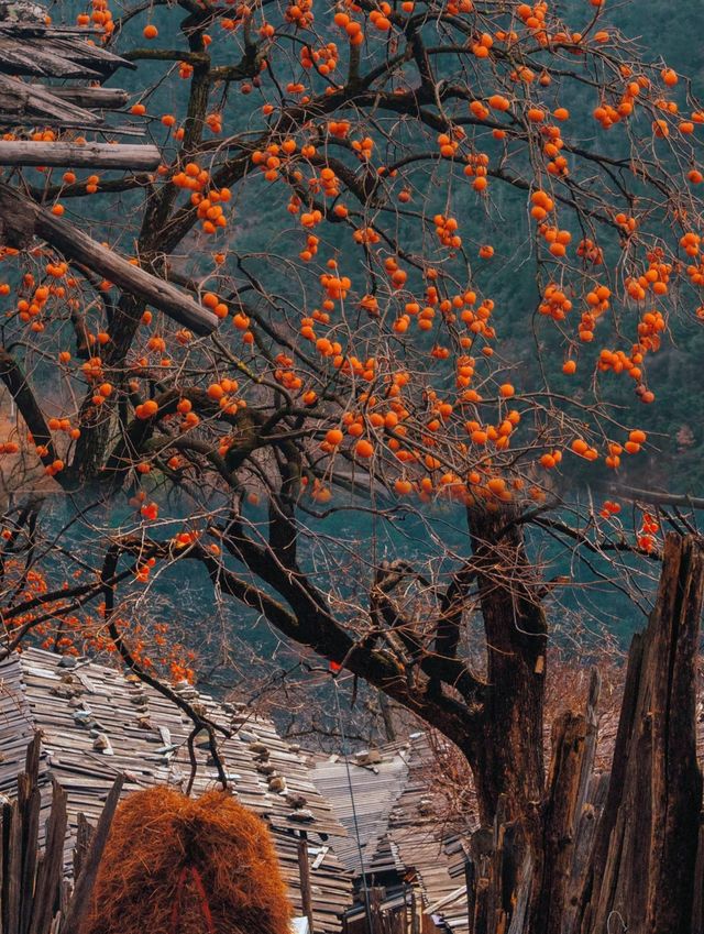 被一張圖騙來雲南!真的美到窒息!!! 被一張圖騙來雲南!真的美到窒息!!!