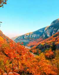 無門票!無停車費!景色絕美!不愧上過央視!