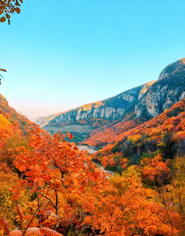 無門票!無停車費!景色絕美!不愧上過央視! 無門票!無停車費!景色絕美!不愧上過央視!