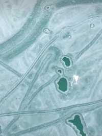 祁連秘境·冰溝河|被風與光親吻的夏日冰河