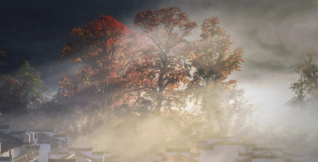 婺源石城秋日行攝全攻略｜沉浸於紅葉晨霧的水墨畫境