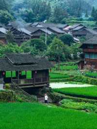 苗寨梯田漫步指南