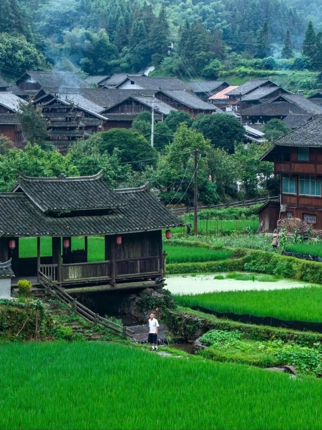 苗寨梯田漫步指南 苗寨梯田漫步指南