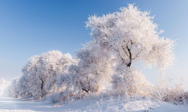 冬日玩雪天花板攻略|東北+新疆必打卡,滑雪/霧淞/藍 冬日玩雪天花板攻略|東北+新疆必打卡,滑雪/霧淞/藍