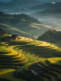 雲和梯田親子慢遊!無車版秋日田園攻略