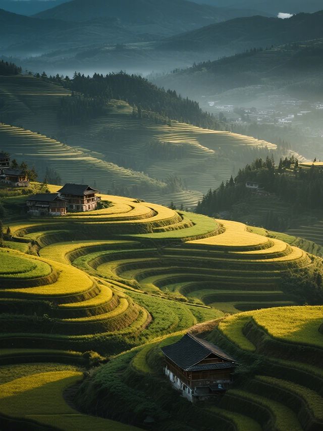 雲和梯田親子慢遊!無車版秋日田園攻略 雲和梯田親子慢遊!無車版秋日田園攻略